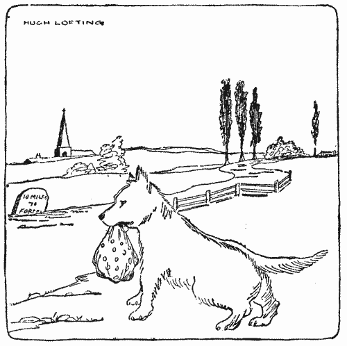 "I set out to carve a career for myself"