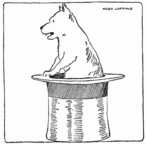 "I got inside it and started barking"