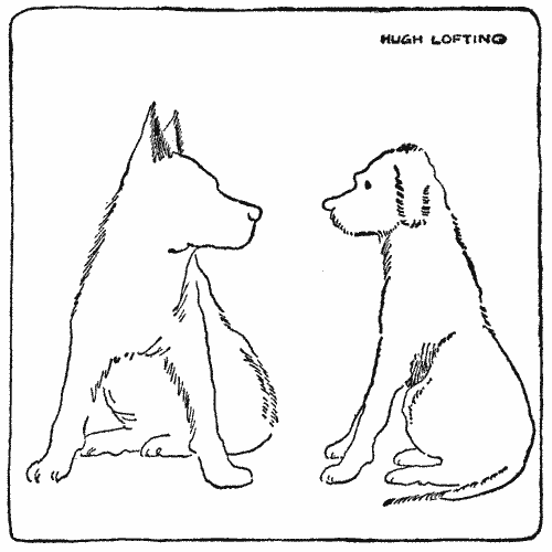 "'Why don't you try to get into the Doctor's club?'"