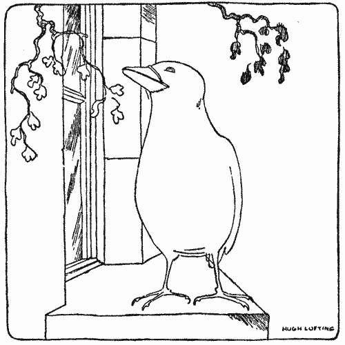 "It was Cheapside knocking on the glass with his bill"