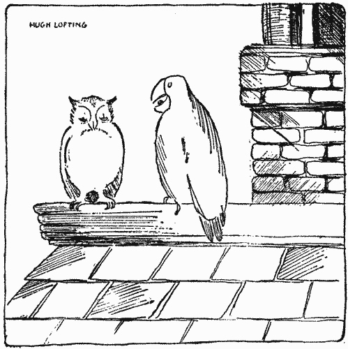 "Too-Too and Polynesia watched from the ridge of the roof"