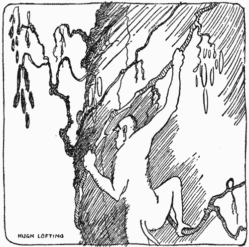 "'I climbed a tree'"