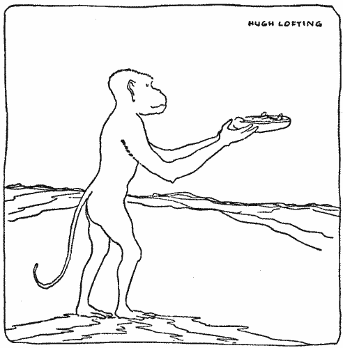 "The faithful monkey would come to us every three hours with his strange vegetables" 