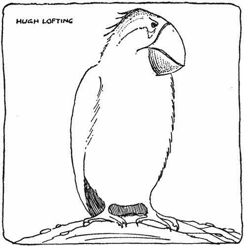 "With a very serious look on her old face"