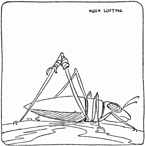 "Grasshoppers with crude bandages on their gawky joints"