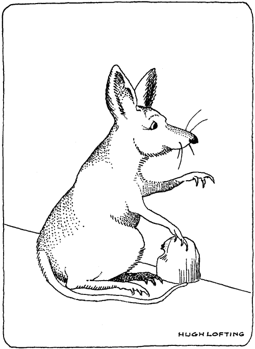 "'Oh, I remember that,' cried the white mouse"