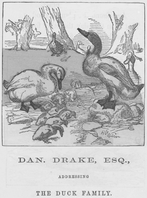 Dan. Drake addressing the Duck family