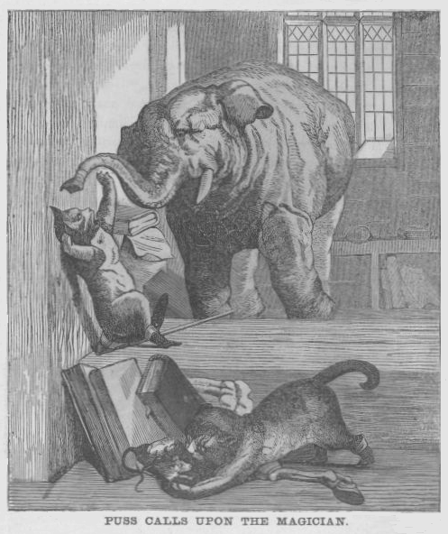 Puss calls upon the Magician.