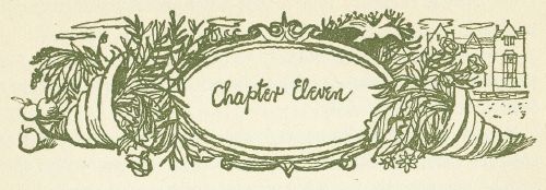 Chapter Eleven