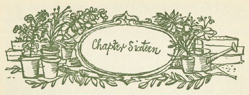 Chapter Sixteen