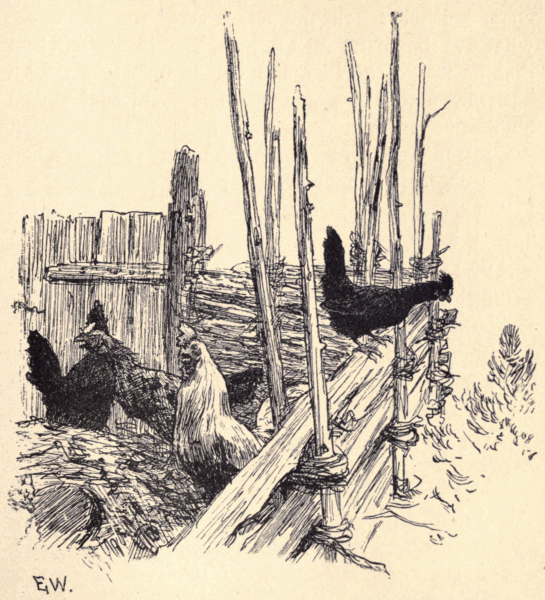 Cluck! cluck! she cried