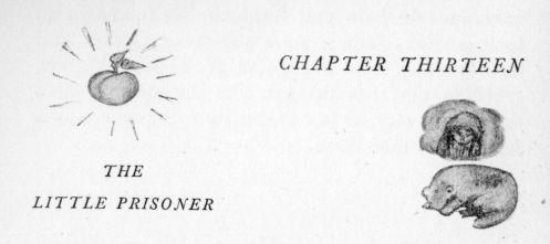 Chapter XIII headpiece