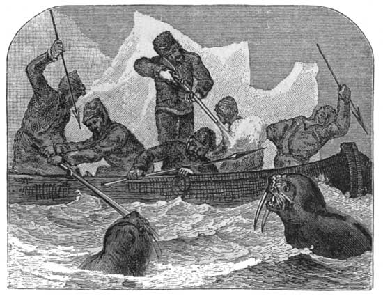 Hunting the Walrus.