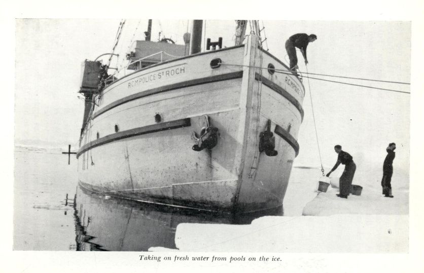 Taking on fresh water from pools on the ice.