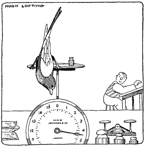 &lsquo;Great heavens, Doctor, I've gained an ounce!&rsquo;