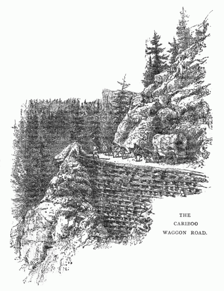 THE CARIBOO WAGGON ROAD.