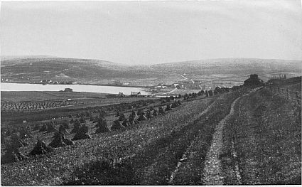 1. Orkney harvest landscape