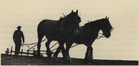 Ploughing