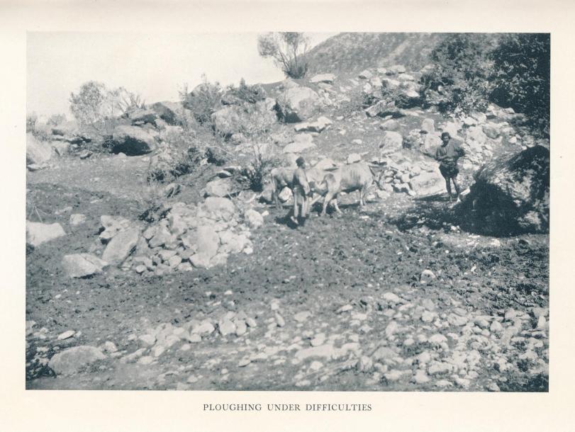 PLOUGHING UNDER DIFFICULTIES