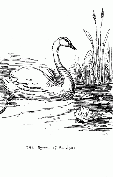 The Queen of the lake