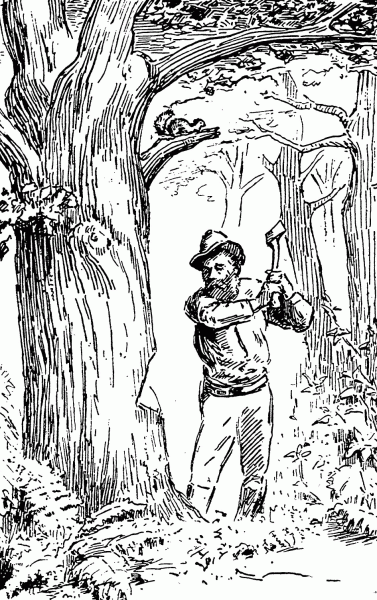 downfall of the great oak