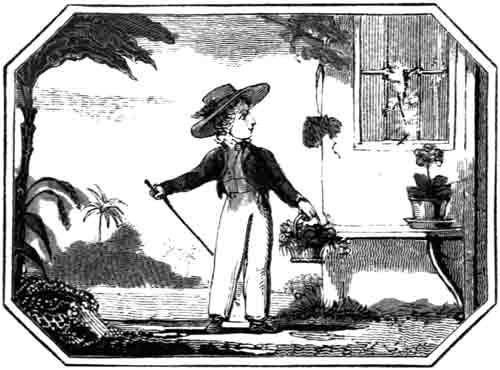 THE LITTLE
    BOY AND THE LIZARD.