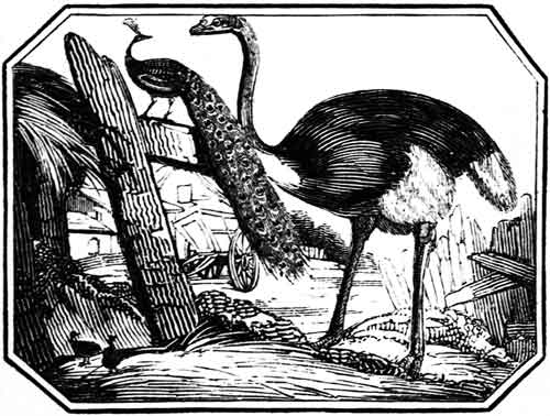 FABLES FOR THE NURSERY