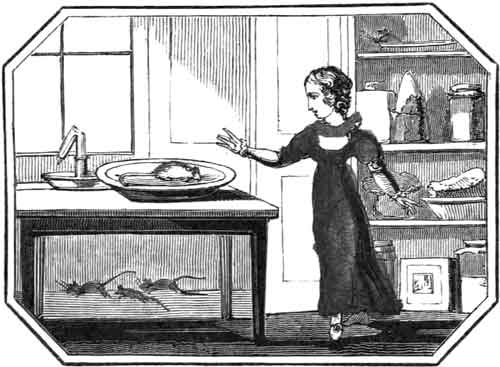 THE DANGER
    OF KEEPING BAD COMPANY.