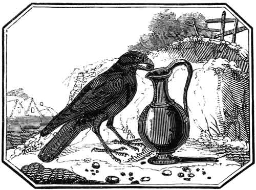 THE ROOK
    AND THE PITCHER.