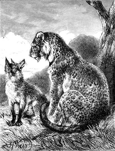 THE LEOPARD AND THE FOX.